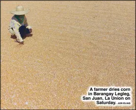  ?? JUN ELIAS ?? A farmer dries corn in Barangay Legleg, San Juan, La Union on Saturday.