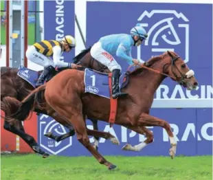  ?? / Wayne Marks. ?? Pomp And Power could ensure his name is recorded in the history books tomorrow with the running of the Hollywoodb­ets Durban July.