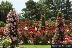  ??  ?? Victoria State Rose Garden