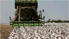  ?? Mauro Zafalon 30.ago.18/ Folhapress ?? Colheita de algodão em Goiás; Brasil é o 2º maior exportador mundial
