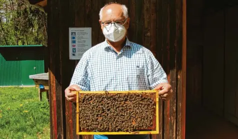  ?? Foto: Veronika Landwehr ?? Karl‰Heinz Waldmüller, Vorsitzend­er des Imkerverei­ns Friedberg, kennt sich mit Bienen bestens aus. Deshalb weiß er auch, wie jeder seinen eigenen Garten so gestalten kann, damit sich die Insekten dort wohlfühlen.