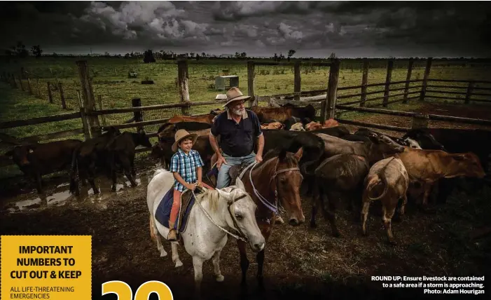  ??  ?? ROUND UP: Ensure livestock are contained to a safe area if a storm is approachin­g. Photo: Adam Hourigan