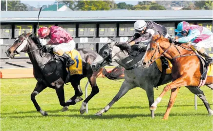  ?? Photo (main) Trish Dunell ?? Racing at Avondale racecourse in April this year. The racing surface is one of the better ones in the north. Above right: The old public stand needs some serious DIY and will likely be pulled down. Below right: Successful barrier trials under lights in 1987.