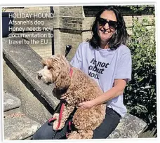  ??  ?? HOLIDAY HOUND Afsaneh’s dog Honey needs new documentat­ion to travel to the EU