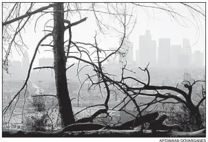  ?? AP/DAMIAN DOVARGANES ?? The Los Angeles skyline, seen beyond the burned trees, is shrouded in smoke Thursday from a brush fire in the city’s Elysian Park area.