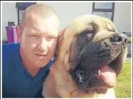  ??  ?? From left: Steve with his 17-stone dog, Kahyzer; with his son Stephen at Stamford Bridge; Steve and Kahyzer at the beach.