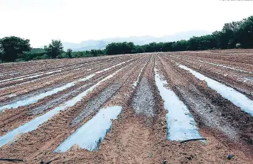  ?? FOTO: EL HERALDO ?? Las cosechador­as de agua que se construyer­on en el Corredor Seco hasta el momento no han resultado debido a que el líquido que les llega en la temporada lluviosa no es suficiente para llenarlas.