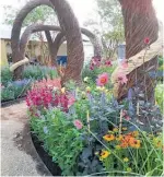  ??  ?? Christison led the planting team for Fisher Tomlin and Bowyer on their garden at Hampton Court Flower Show 2017.