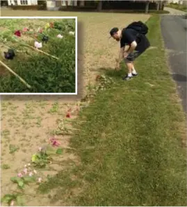  ?? FOTO HBVL ?? De activisten legden bloemen en speelgoedb­iggetjes neer tijdens hun actie.