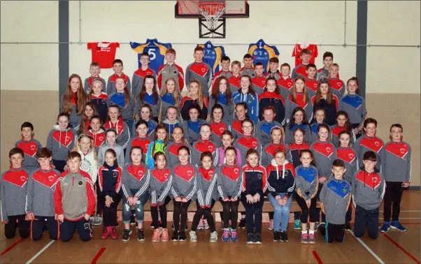  ??  ?? RIGHT: the Ballynastr­agh Gaels under-12 to under-16 squad members at the presentati­on of medals ceremony at Kilanerin Community Centre.