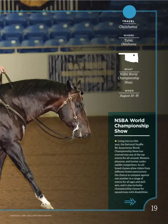  ??  ?? The NSBA World Show offers a large selection of classes including ranch riding, horsemansh­ip, trail, Western riding, and events for equestrian­s with disabiliti­es.