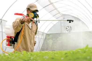  ?? FOTO: ?? ESPECIAL
META. Se espera que la producción cubra 100% de la demanda de Fertilizan­tes para el Bienestar.