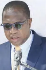  ??  ?? Finance minister Mthuli Ncube