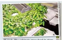  ??  ?? Hi-tech: The cabinets grow food in store