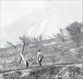  ?? Irfan Khan Los Angeles Times ?? INVESTORS fear that wildfires could lead to soaring insurance and other costs for utilities. Above, an Edison crewman checks downed power lines in Sylmar.