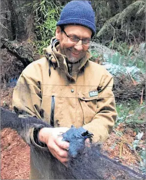  ??  ?? Western Bay of Plenty District Council Community relations Advisor Glenn Ayo captures a ko¯kako for banding and relocation to tanewainuk­u Forest in Oropi.