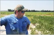  ?? AP PHOTO BY ANDREW DEMILLO ?? In this Tuesday, July 11, 2017, photo, East Arkansas soybean farmer Reed Storey looks at his field in Marvell, Ark.