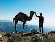  ??  ?? A hiker makes friends with a camel near the village of Dana.