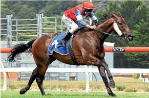  ?? GRANT MATTHEW/TRISH DUNELL ?? The colours of North Canterbury trainers John and Karen Parsons have been to the forefront in recent weeks through the winning efforts of Camino Rocoso, left, at Trentham and Kiwi Ida, right, at Ellerslie last Saturday.