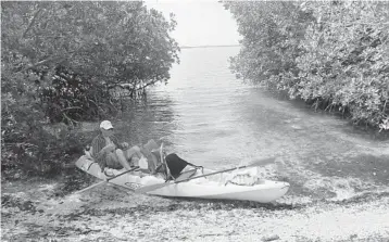  ?? FLORIDARAM­BLER.COM PHOTOS ?? Mound Key State Archaeolog­ical Park is a small wild island off Fort Myers Beach in Estero Bay that is accessible only by boat or kayak.