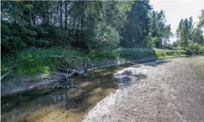  ?? FOTO: TERJE BENDIKSBY, NTB SCANPIX ?? Det er lite vann i Loeselva, som går mellom Hokksund og Steinberg i Buskerud, etter sommerens mangel på nedbør, i likhet med mange småelver på Østlandet.