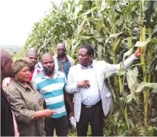 ??  ?? GREEN REVOLUTION . . . Vice President Emmerson Mnangagwa tours one of the farms under Command Agricultur­e recently