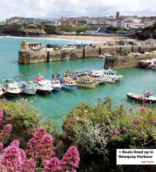  ?? Julie Taylor ?? > Boats lined up in Newquay Harbour