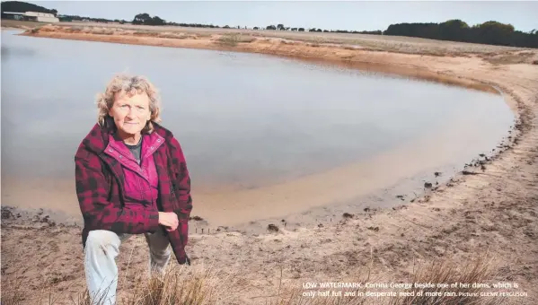  ?? Picture: GLENN FERGUSON ?? LOW WATERMARK: Corrina George beside one of her dams, which is only half full and in desperate need of more rain.