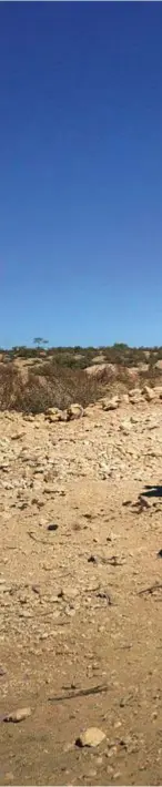  ??  ?? Dhinbiriya­le, Somaliland. Una donna con lF sVF  HlJF preleva l’acqua dal pozzo situato a quattro chilometri da casa.