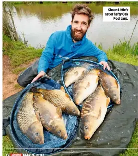  ??  ?? Shaun Little’s net of hefty Oak Pool carp.