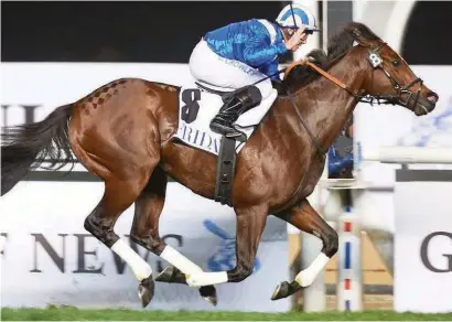  ??  ?? FLYER. Top sprinter Ertijaal (Ire), not to be confused with the Mike de Kock-trained middle-distance runner with the same name, looks to be a shoe-in for the Al Quoz Sprint over 1200m on Dubai World Cup Night.