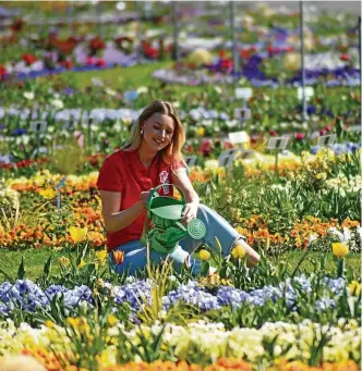  ?? FOTOS (3): MARCO SCHMIDT ?? Buga-Mitarbeite­rin Friederike Schmidt, hier im großen Blumenbeet im Erfurter Egapark, freut sich auf die heutige Eröffnung der Bundesgart­enschau 2021 in Erfurt.