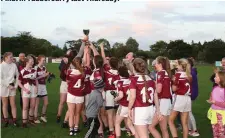  ??  ?? The triumphant Shamrock Gaels side celebrate.