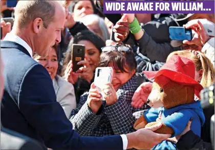  ?? ?? sURpRisE visitoR: Paddington and his friends are rewarded with a welcome from Prince William on a walkabout