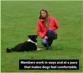  ??  ?? Members work in ways and at a pace that makes dogs feel comfortabl­e.