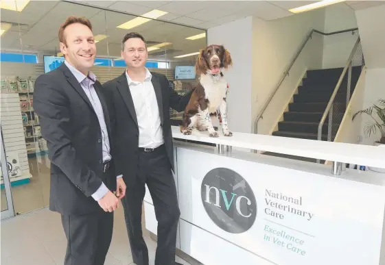  ?? Picture: MIKE BATTERHAM ?? Ormeau-based National Veterinary Care chief executive Tomas Steenacker­s (left) and CFO Jason Beddow with Frankie the dog.