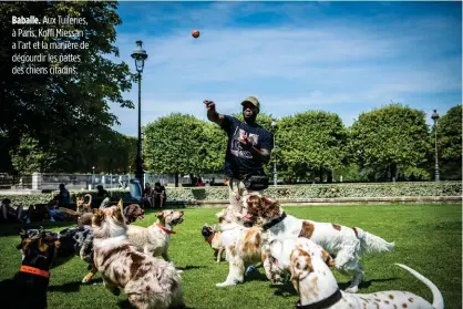  ??  ?? Baballe. Aux Tuileries, à Paris, Koffi Miessan a l’art et la manière de dégourdir les pattes des chiens citadins.