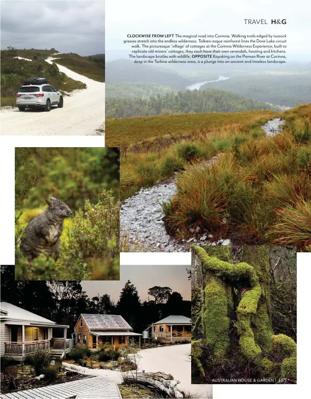  ??  ?? CLOCKWISE FROM LEFT The magical road into Corinna. Walking trails edged by tussock grasses stretch into the endless wilderness. Tolkien-esque rainforest lines the Dove Lake circuit walk. The picturesqu­e ‘village’ of cottages at the Corinna Wilderness Experience; built to replicate old miners’ cottages, they each have their own verandah, heating and kitchens. The landscape bristles with wildlife. OPPOSITE Kayaking on the Pieman River at Corinna, deep in the Tarkine wilderness area, is a plunge into an ancient and timeless landscape. 185