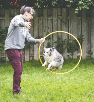  ?? ALLEN MCINNIS ?? Trainer Ally Stern gives her dog Stunt a hand. “There is going to be a whole new generation of puppies and dogs who have no access to in-person training, which is critical,” she says.