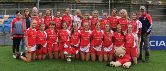  ??  ?? The Tinahely Minor footballer­s after their victory over St Patrick’s in the Minor ‘A’ football final in Aughrim last weekend.