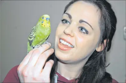  ?? JIM DAY/THE GUARDIAN ?? Molly Nielsen of Charlottet­own is thrilled to be reunited with her pet budgie, Angelo, after the bird slipped out of its cage and out of Nielsen’s home.