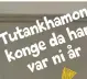  ??  ?? Tutankhamo­n kongedahan varniår