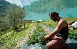  ??  ?? Aujourd’hui encore, les actions de Cédric Herrou divisent la vallée de la Roya.