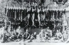  ??  ?? Historic photo taken on 20 May, 1897 at Rooipoort reserve owned by the De Beers mining company. The man seated fifth from the right is Cecil John Rhodes, Prime Minister of the Cape. Note the red hartebeest carcasses (centre). At the time, Rooipoort was the last stronghold of the red hartebeest.
Photo De Beers archives courtesy MPS Berry.