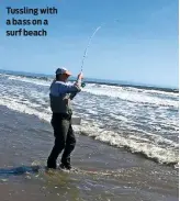  ??  ?? Tussling with a bass on a surf beach