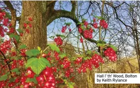  ??  ?? Hall i’ th’ Wood, Bolton by Keith Rylance