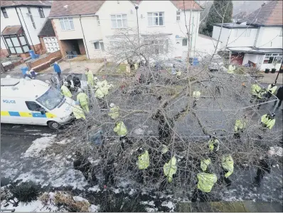  ??  ?? Dozens of police officers joined private security guards in supporting felling operations in spring.