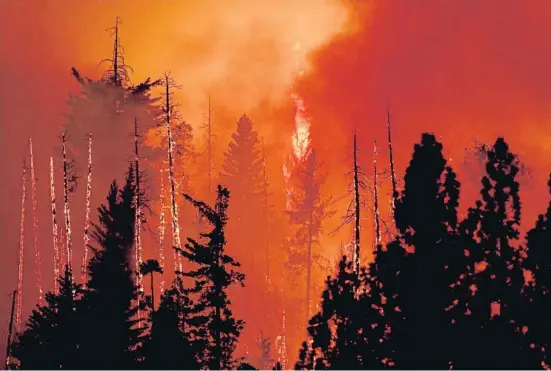  ?? DAVID MCNEW / AF ?? L’incendi va començar divendres a la tarda a la ciutat de Midpines, al comtat de Mariposa, a prop del sud-oest de Yosemite