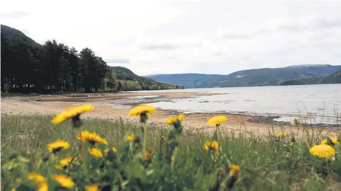  ??  ?? ØNSKER INFLUENSER:
– Vi ønsker en barnefamil­ie som kan vaere en del av det daglige familieliv­et i Fyresdal, sier prosjektle­der Monica Sjølyst. Foto: Arkivfoto