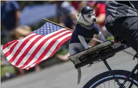  ?? ?? Dago Martinez and his dog enjoy a ride in Redlands' Independen­ce Day parade at Sylvan Park on July 4, 2019.